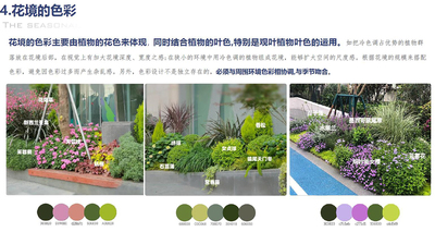 2024最新-从客户需求出发-解决当下花镜痛点-从成本分配-面积控制-到品种选择-施工及后期养护-保利集团大区花镜标准化研发手册