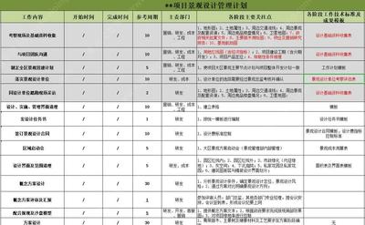 某地产集团-景观管控系列文件-景观项目设计分级管控计