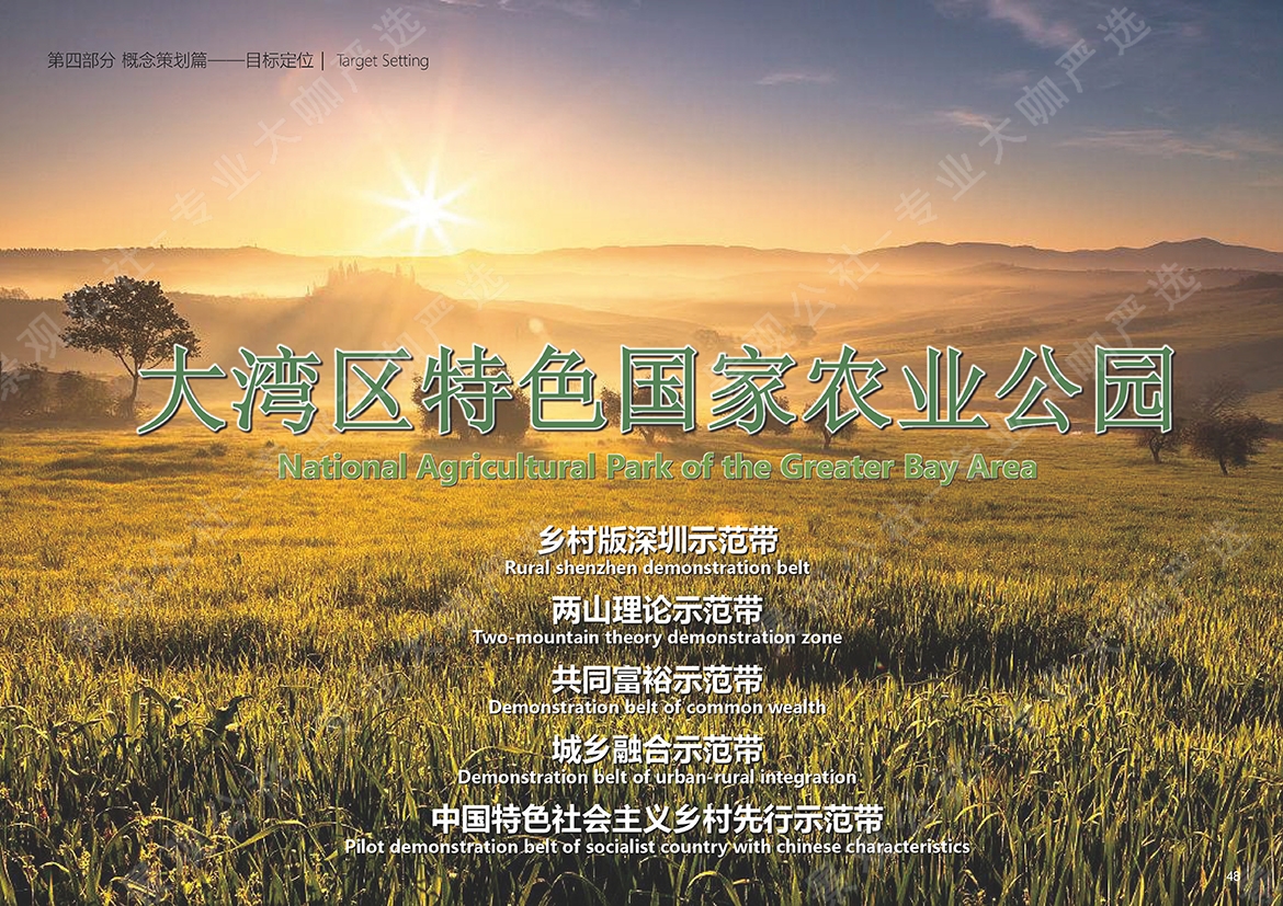 深圳大安乡村示范区_页面_04857382975.jpg