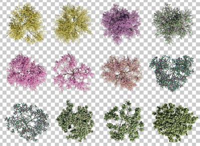 2023最新-设计院常用-设计师必备-300个真实风格-超高清PSD植物平面图图例