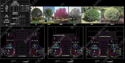 2023最新-标准化分类图集-设计师必备图库-七大类分项-涵盖大区景观30个必做节点-某集团人居项目标准化CAD图集（含结构）