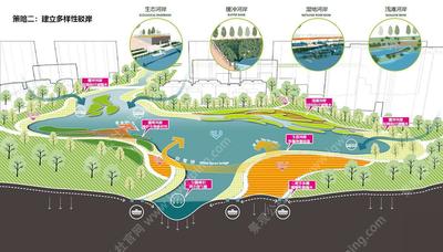 景观策略十分前卫-版式设计超级唯美-方案构思值得参考-某大型城市生态滨湖公园景观方案